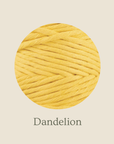 Samples, coloured single twist string