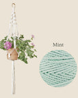 DIY kit, Macramé plant hanger