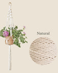 DIY kit, Macramé plant hanger