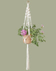 DIY kit, Macramé plant hanger