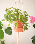 Workshop - macramé plant hanger
