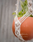 Macramé plant hanger, "Royals" #6