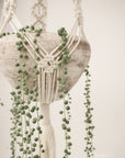 Macramé plant hanger, "Meadow"