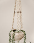 Macramé plant hanger, "Meadow"