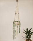 Macramé plant hanger, "Meadow"