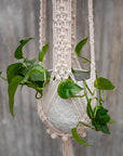 Macramé plant hanger, "Royals" #1