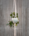 Macramé plant hanger, "Royals" #4