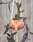 Macramé plant hanger, "Royals" #4