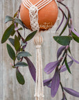 Macramé plant hanger, "Royals" #4