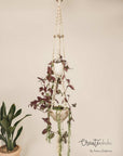 Macramé plant hanger, "Jungle Trail"