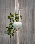 Macramé plant hanger, "Royals" #4