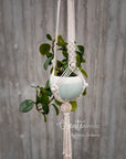 Macramé plant hanger, "Royals" #4