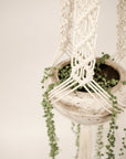 Macramé plant hanger, "Meadow"