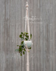 Macramé plant hanger, "Royals" #4